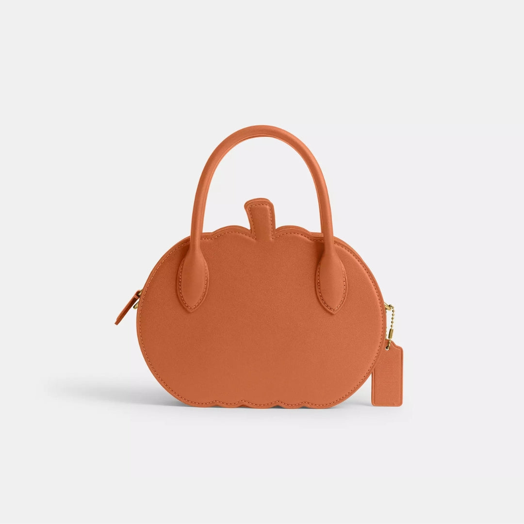 Pumpkin Bag